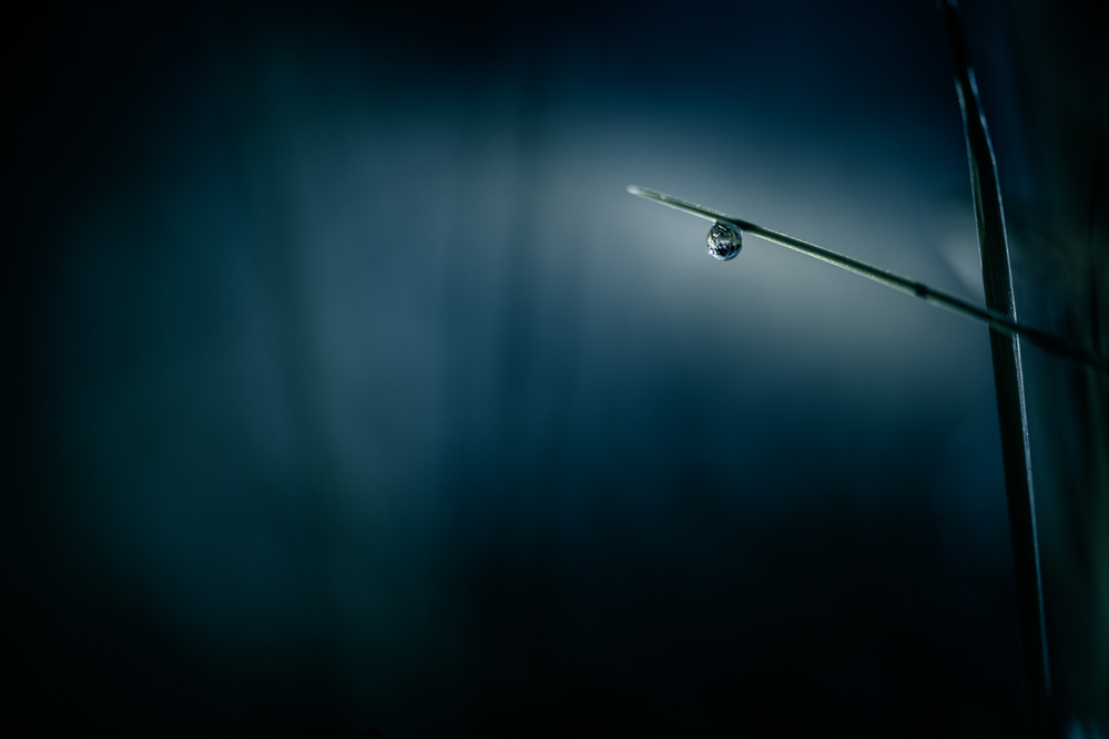 Platz 1 Robert Seitz